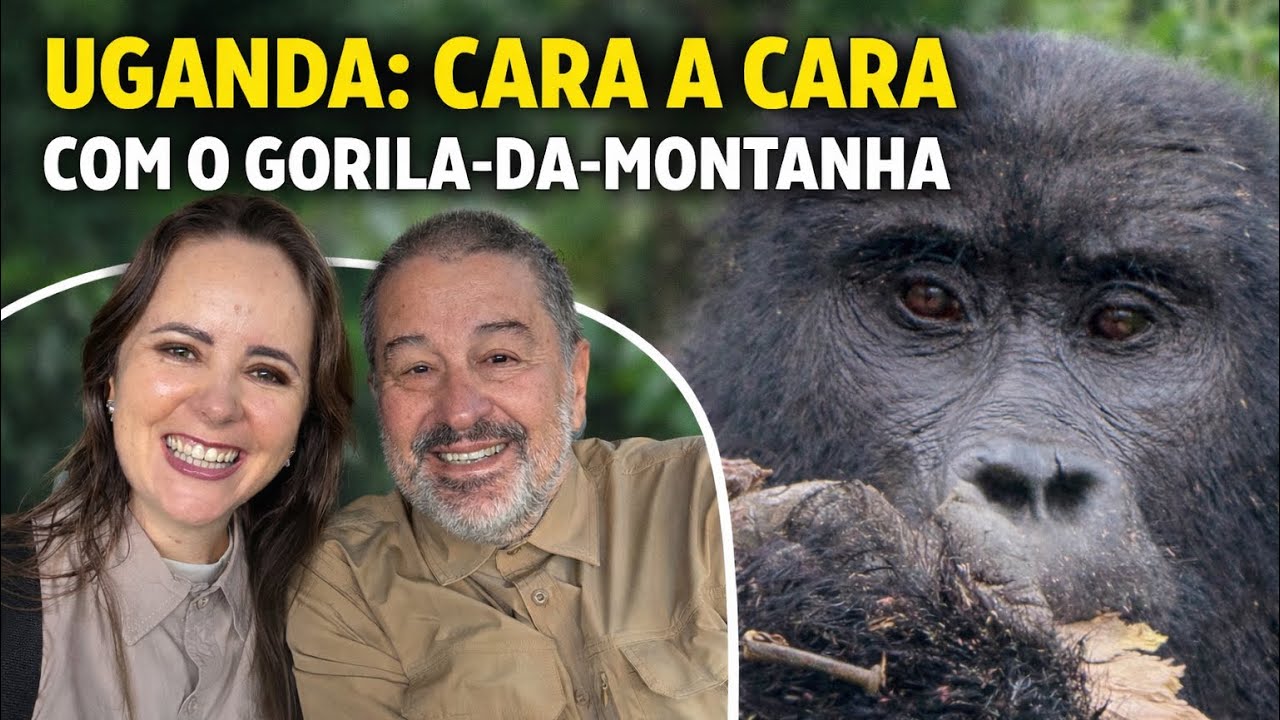 Uganda: Cara a cara com o gorila-da-montanha.