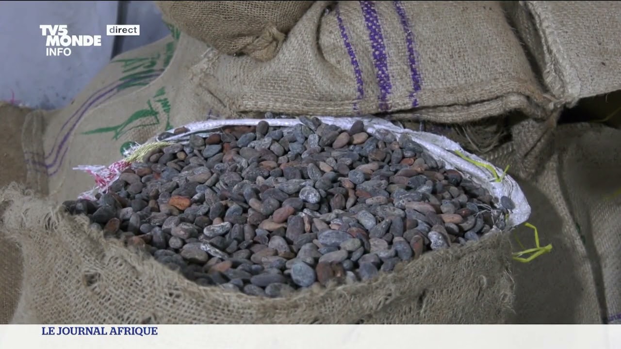 Fraude au cacao au Cameroun