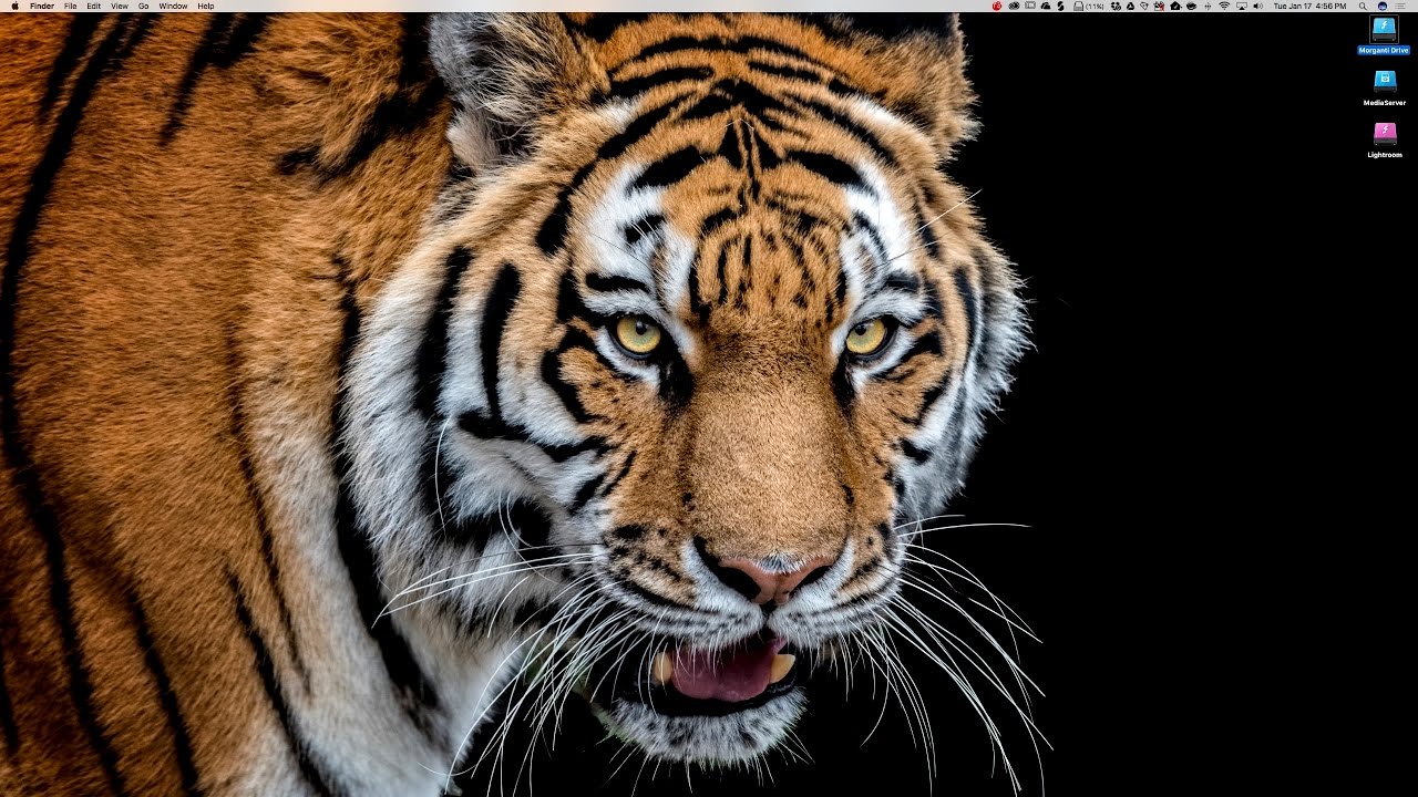 How I Backup My Images (Updated)