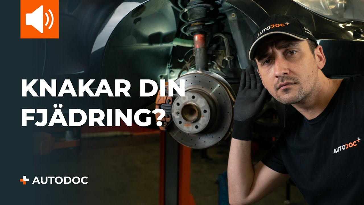 De 5 främsta orsakerna till att fjädringen knakar | AUTODOC tipsar