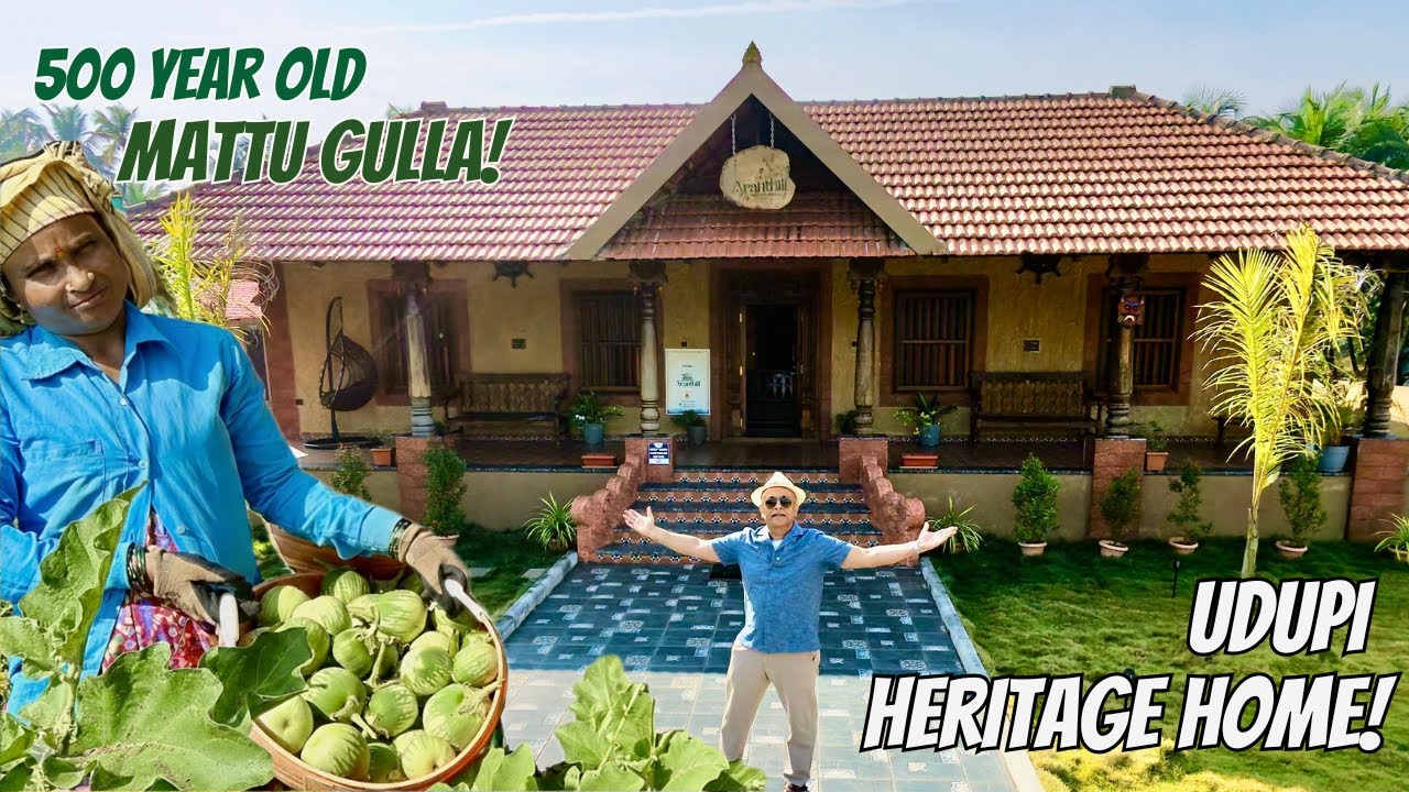 The 500-Year-Old Sacred Udupi Brinjal! 🍆 Exploring Mattu Gulla & A Riverfront Heritage Home