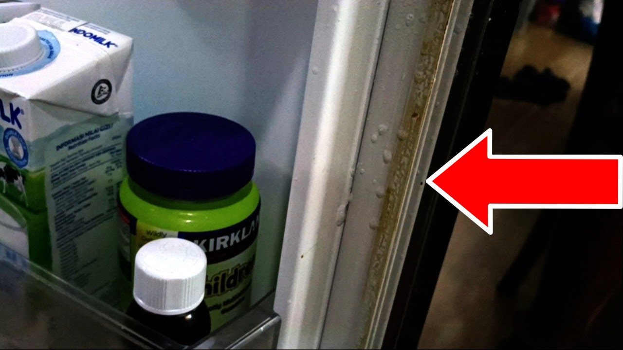 Резиновая революция: как упростить уборку холодильника с помощью гениального лайфхака