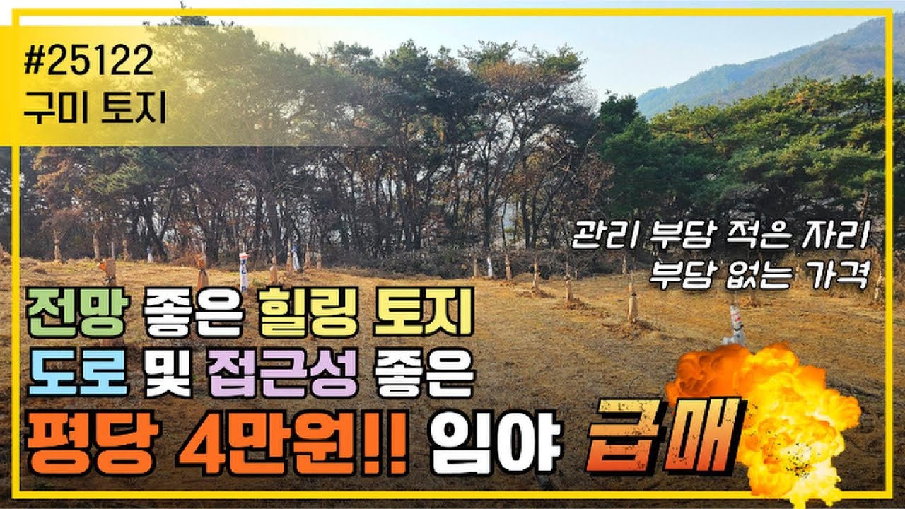 구미 토지/가격 부담 적고 활용폭 넓은 구미 임야 소개드립니다
