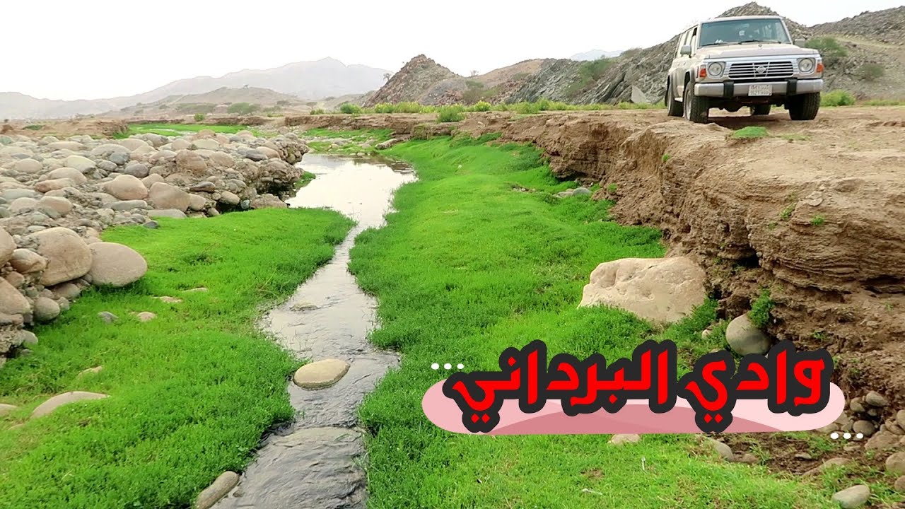 وادي البرداني من أجمل أودية تهامة