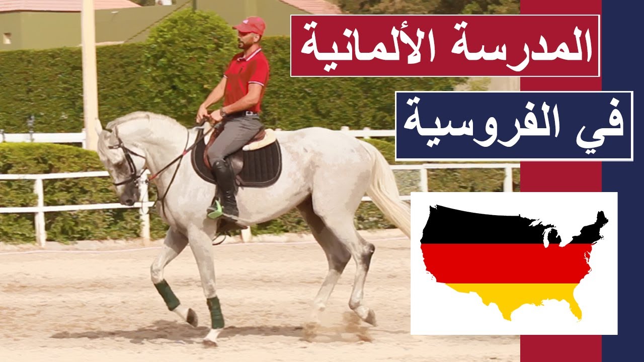 تعلم ركوب الخيل على طريقة المدرسة الألمانية - تعليم أساسيات ركوب الخيل