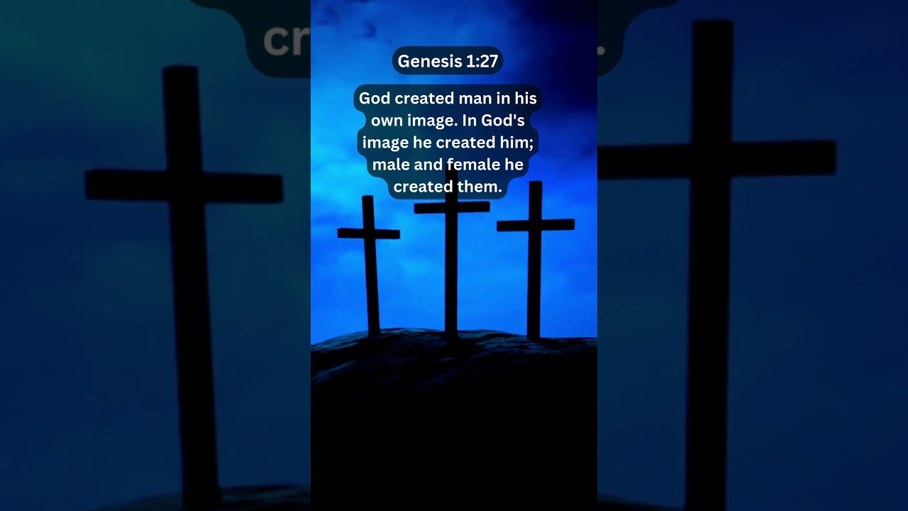 Journey of faith and spiritual growth | Genesis 1:27 Daily Bible Verse