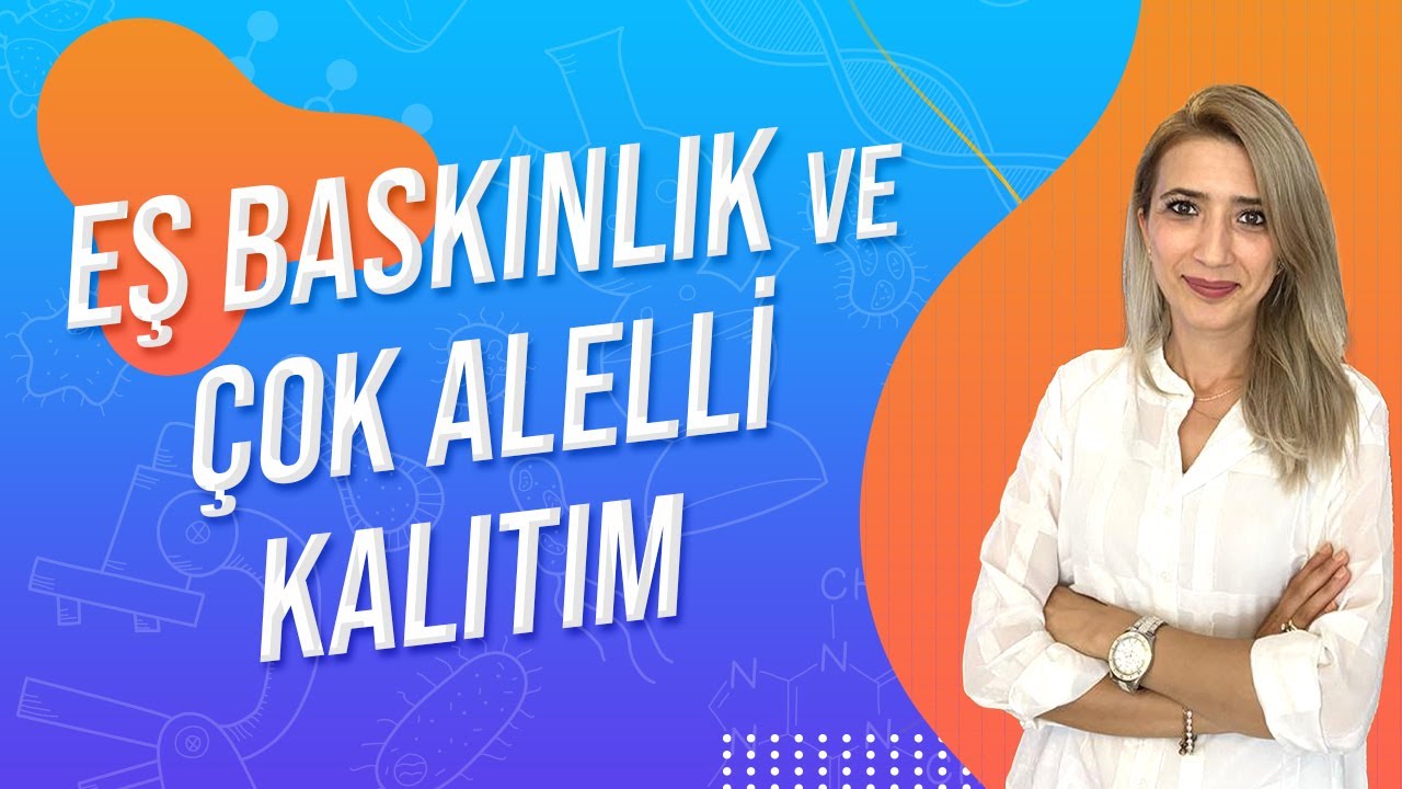 (37.DERS) EŞ BASKINLIK VE ÇOK ALELLİ KALITIM | TYT 10.SINIF l Seda Hoca Biyoloji 🤗
