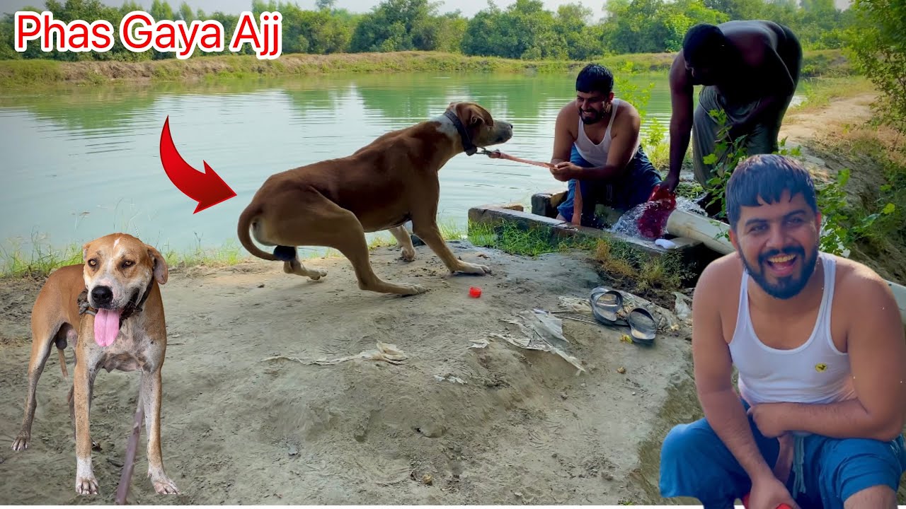 Challange Win 🏆 Kia Or Bully Dog Mil Gaya