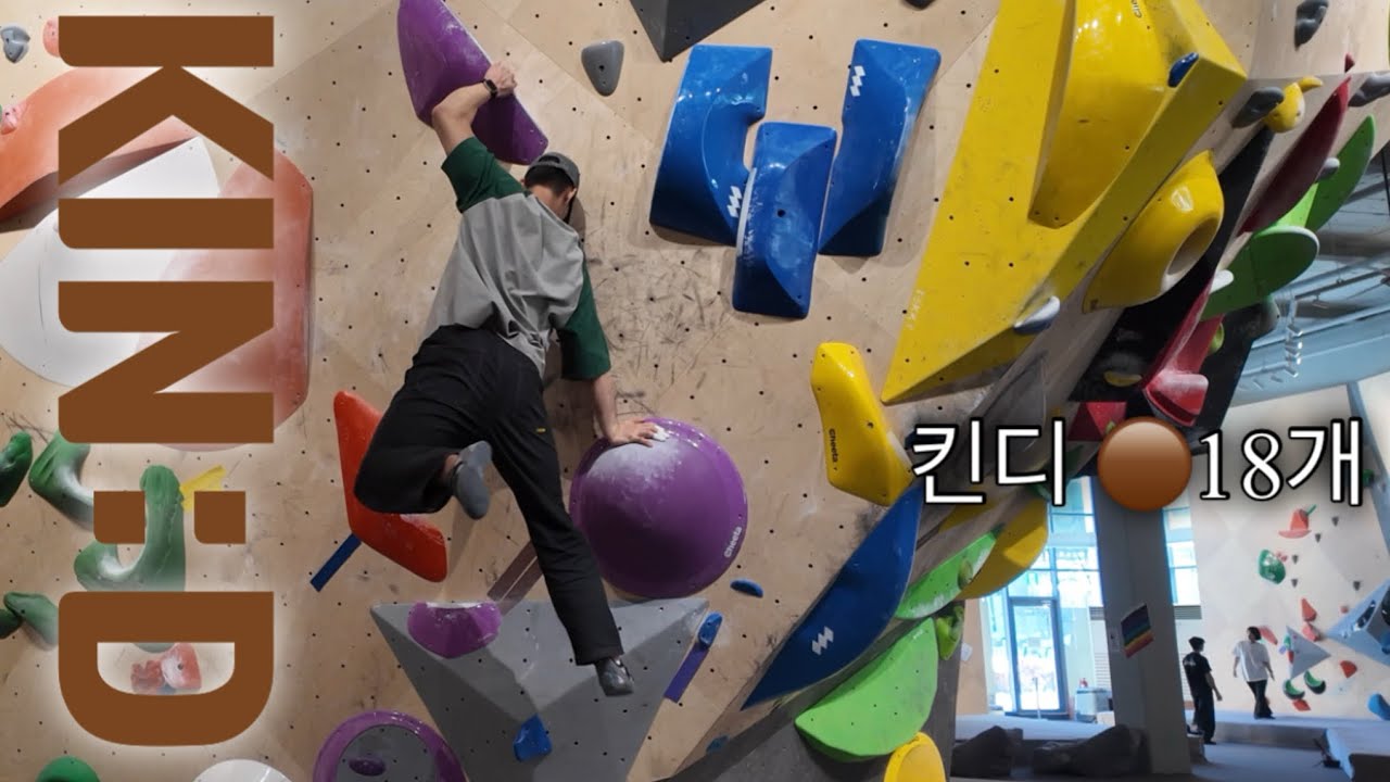 킨디클라이밍 / 갈색 18개