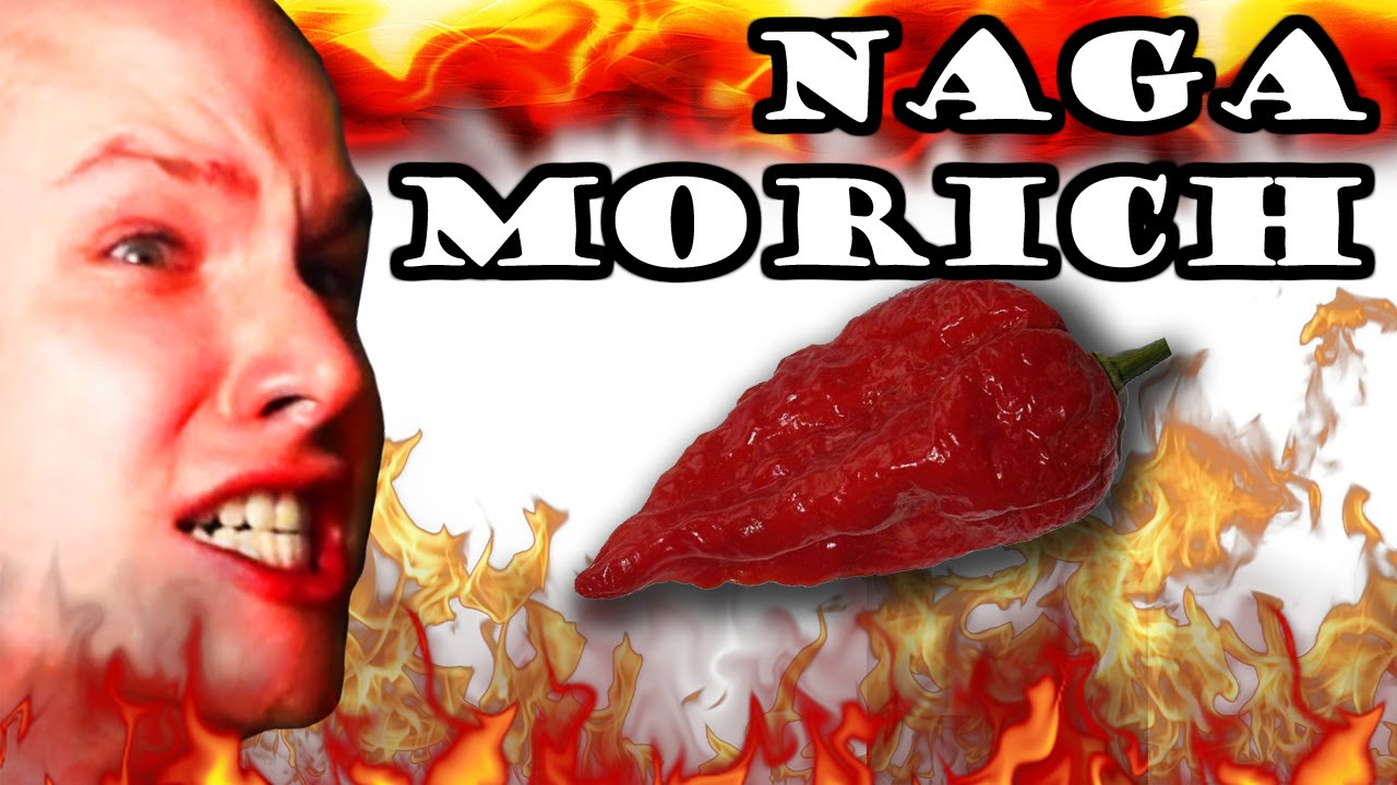 NAGA MORICH (1 milj. SHU) - PIENEMPIKUINKOLME (24h Stream Highlight)