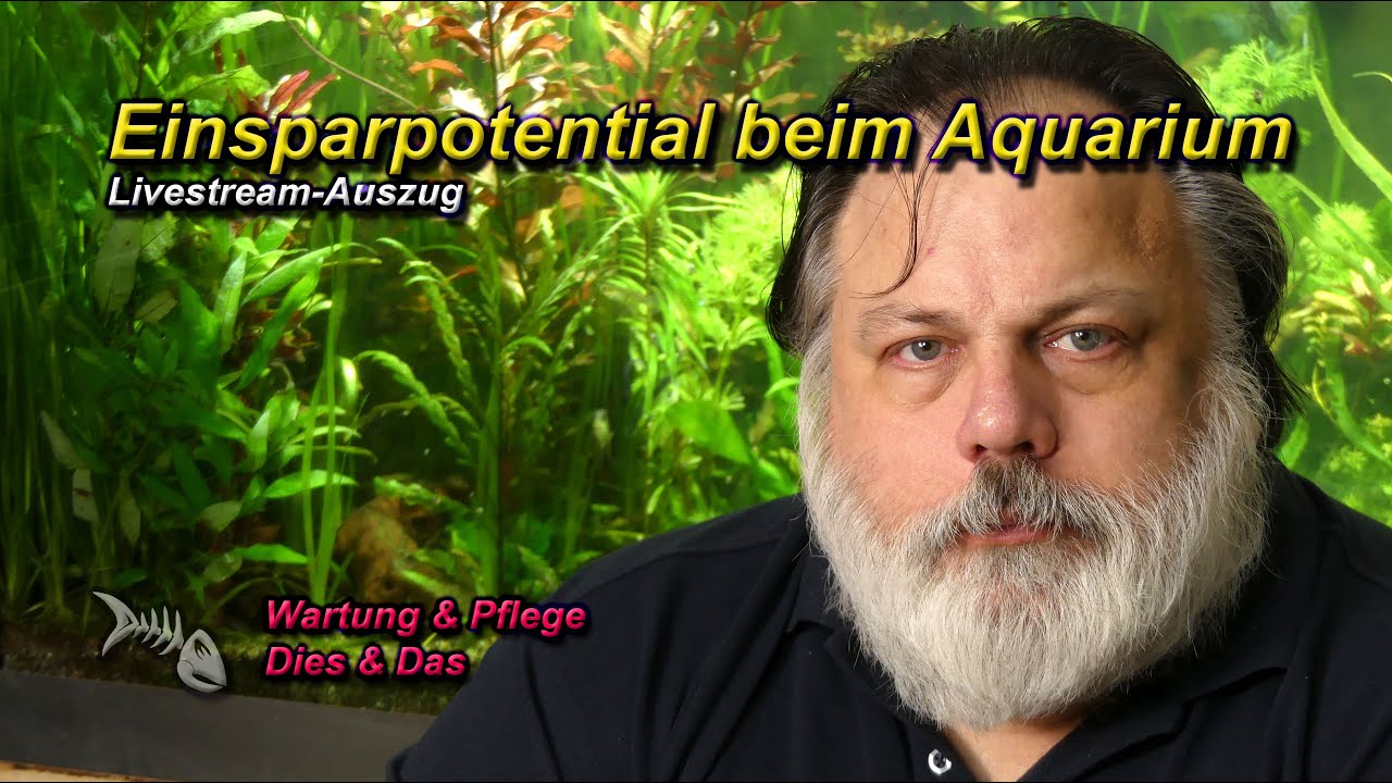 Wo steckt Einsparpotential beim Aquarium? Strom sparen leicht gemacht