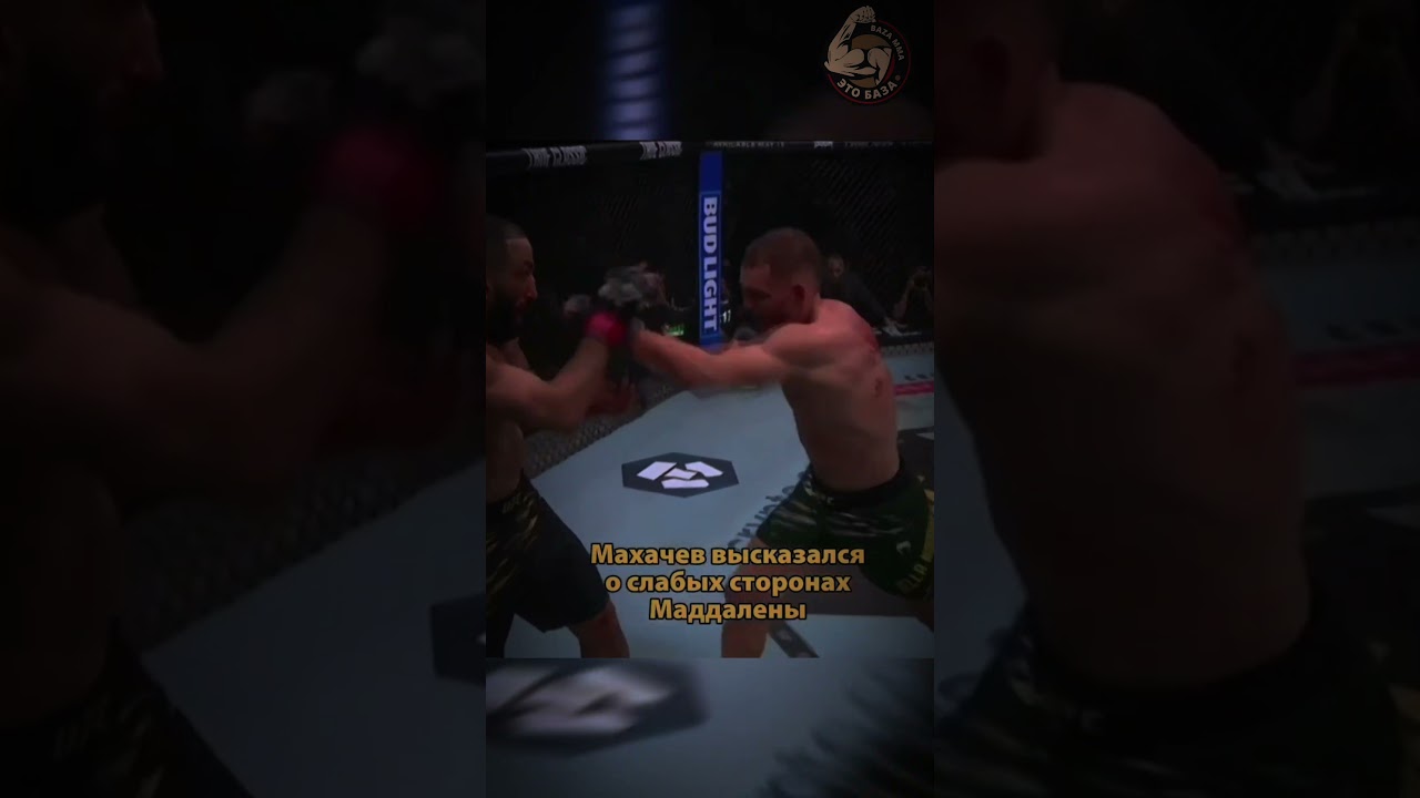 Ислам Махачев о слабых местах Маддалены! Полный обзор на уже канале! 