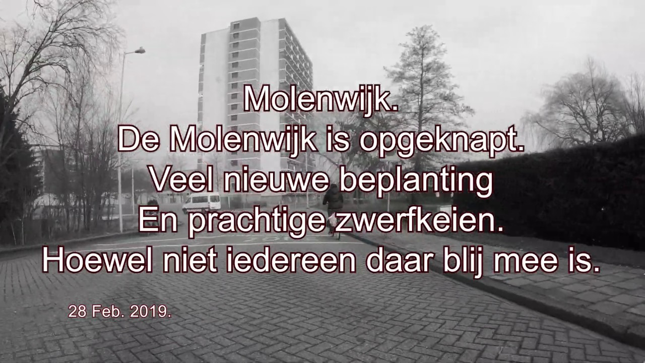 4K. Streetview Amsterdam noord. 