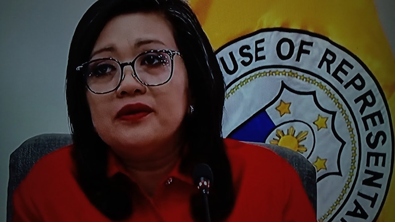 Randy Chinel: Re live only Congress justice committee hearing for impeachment VP. Sara #news