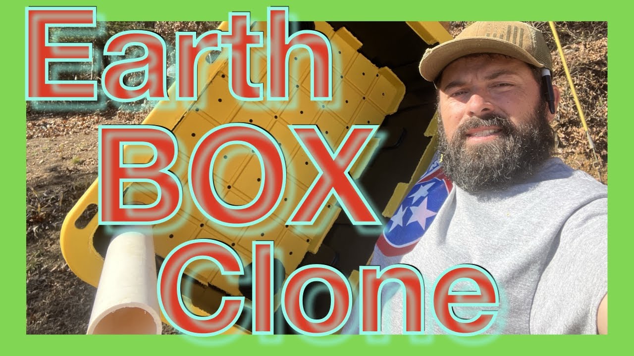 Самодельный самополивающийся клонированный контейнер Earth BOX
