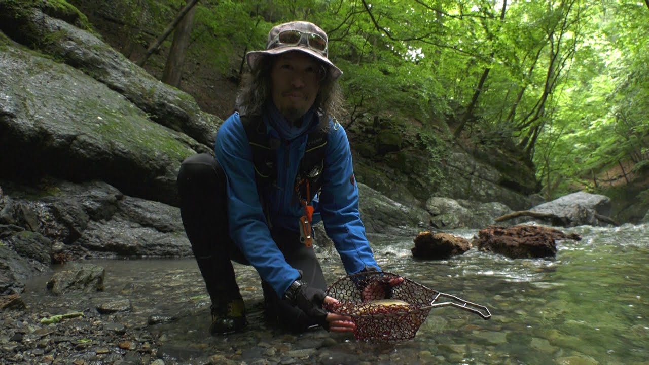 #381 躍動感溢れるプロ登山家の釣り～イワナを求めて秩父の源流に分け入る～