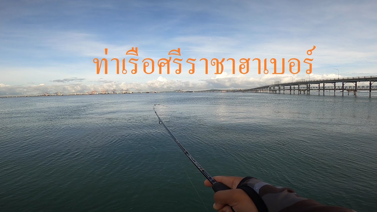 [ EP.70 ] Aji ท่าเรือศรีราชาฮาเบอร์ 11/9/68 น้ำเช้า โฉมงามเสมอ ! สวยงามเสมอ