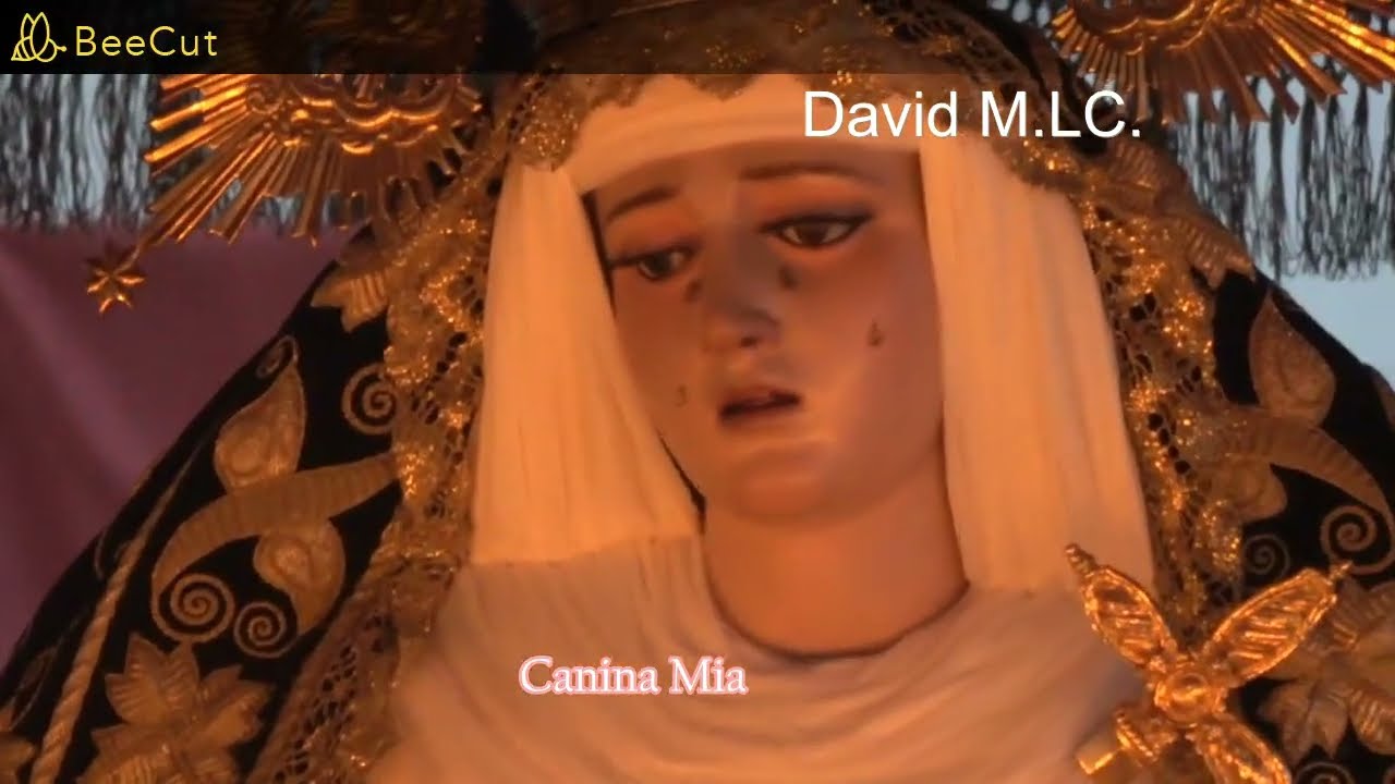 hermandad del Calvario. Video David M.LC. 2025 C/Doña Guiomar. La Madruga^ Semana Santa de Sevilla
