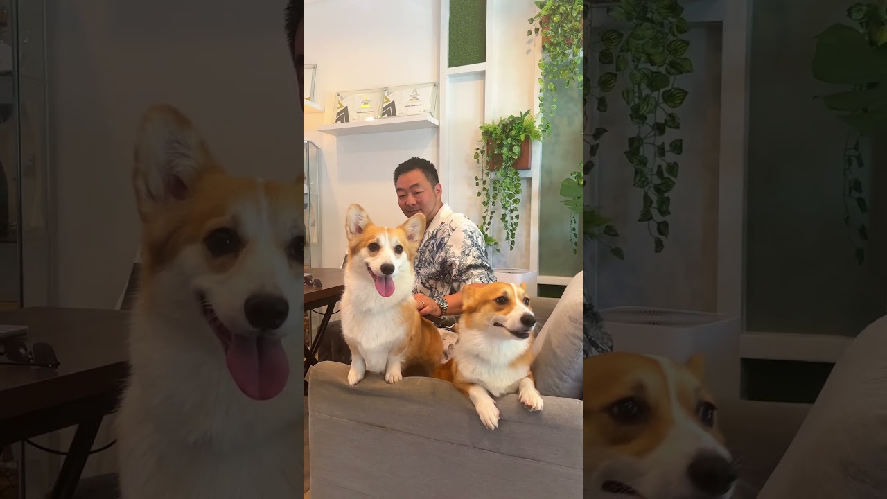 🐶 Pet-friendly condominium. More information in the comments 💭