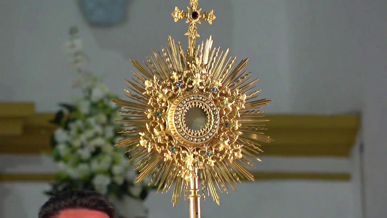 HORA SANTA Y SAGRADA EUCARISTÍA 22 DE ENERO DE 2026.