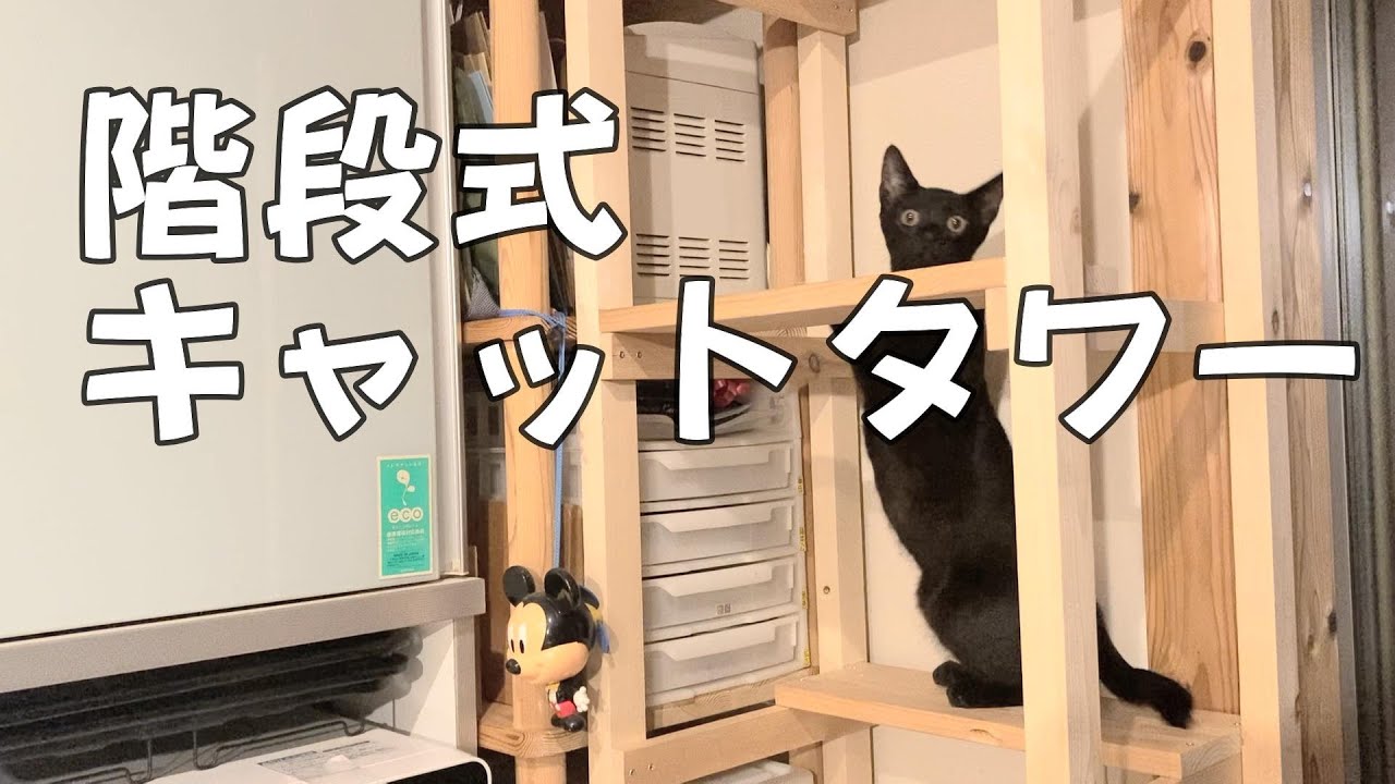 DIY(2) 変わったキャットタワーを作ってみました