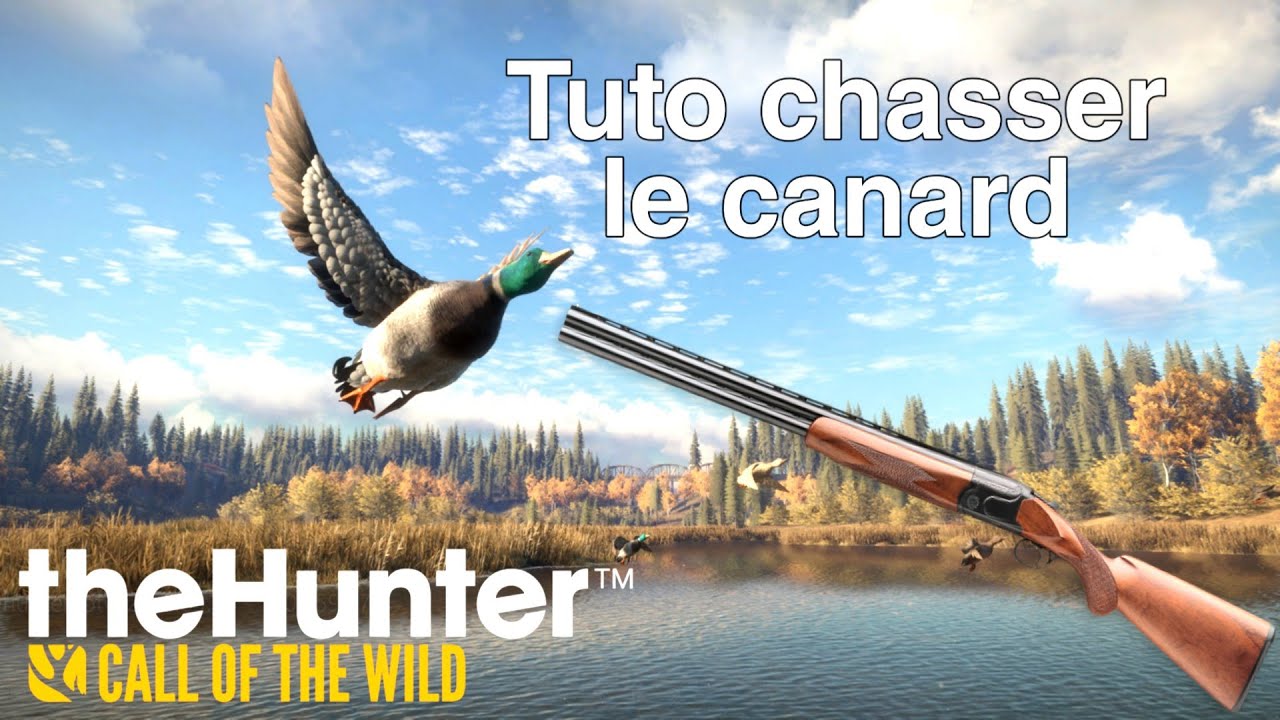 Comment chasser le canard|The Hunter COTW