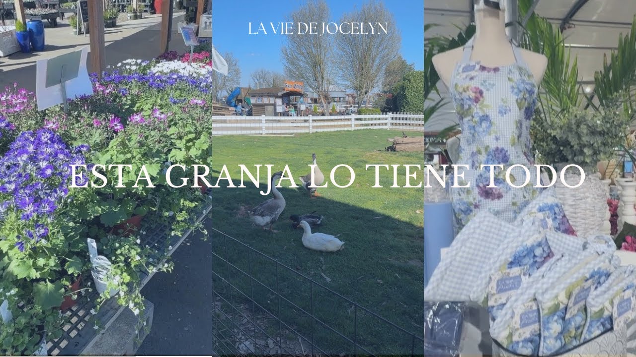 Un paseo a una granja local 🪿venden todo! 