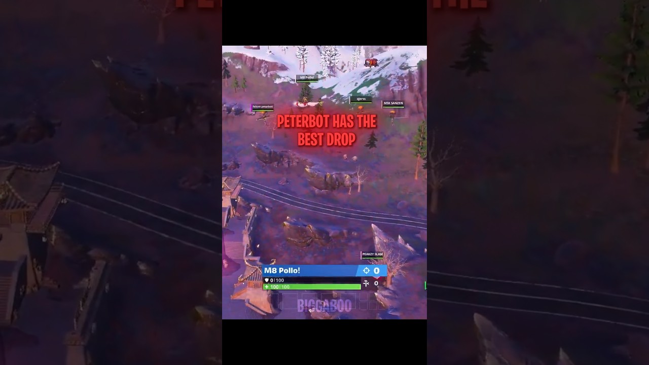 Peterbot vs Pollo Offspawn | #fortnite #fncs #peterbot #pollo