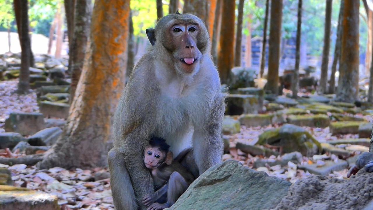 Beautiful film! Yamasaki favorite baby is Addison, | AmberTroop