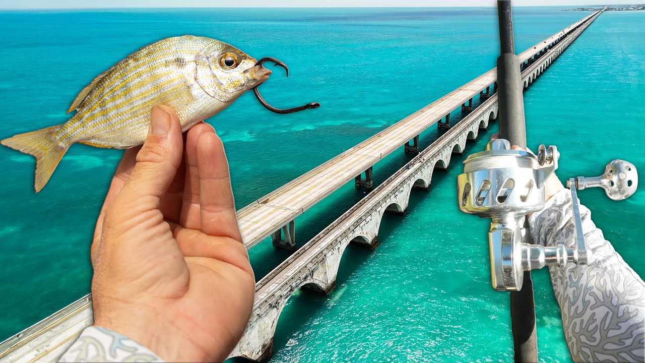 4 Days to Catch Every Prized Fish From Florida Keys Bridges | Snapper, Grouper, Permit, Tarpon