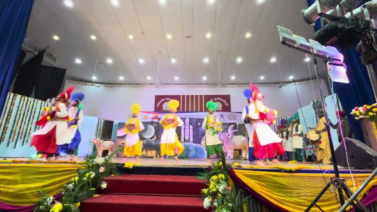 2nd position punjabi University Patiala Bhangra north zonal festival at Punjabi University Patiala