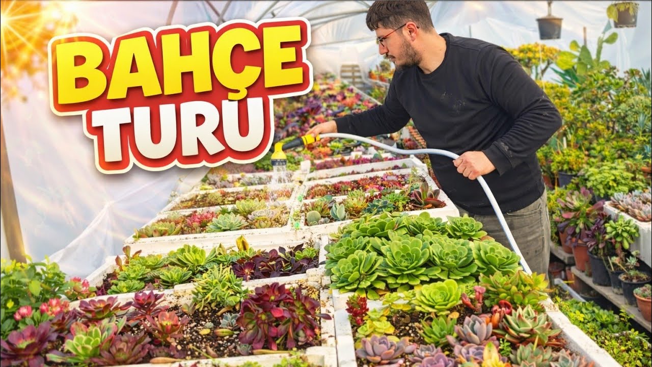 KÖY EVİMİZİN DIŞ CEPHESİ BİTTİ || BAHÇE VE SERA TURU İLK BAHARA KADAR NELER YAPICAM ?