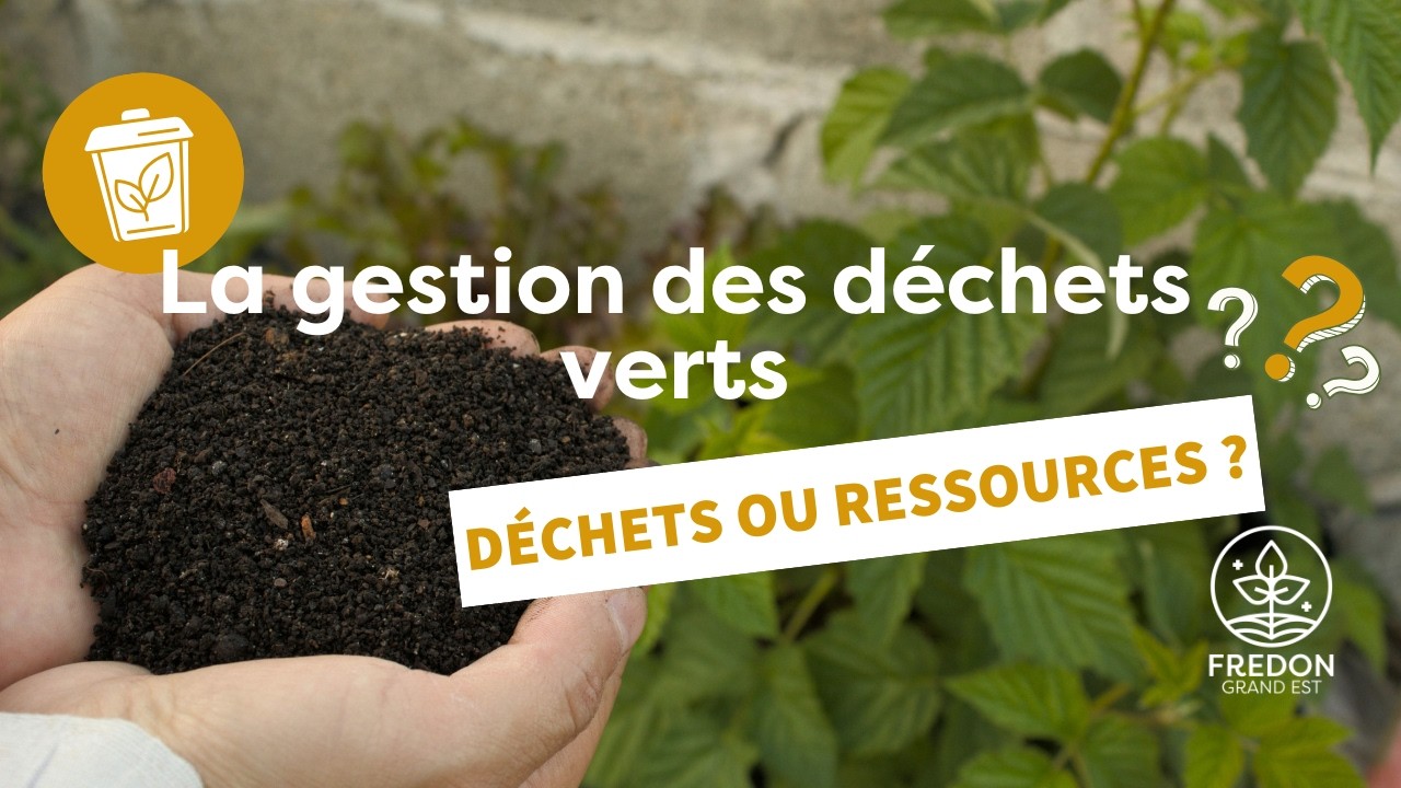 DECHETS OU RESSOURCES VERT(E)S ?