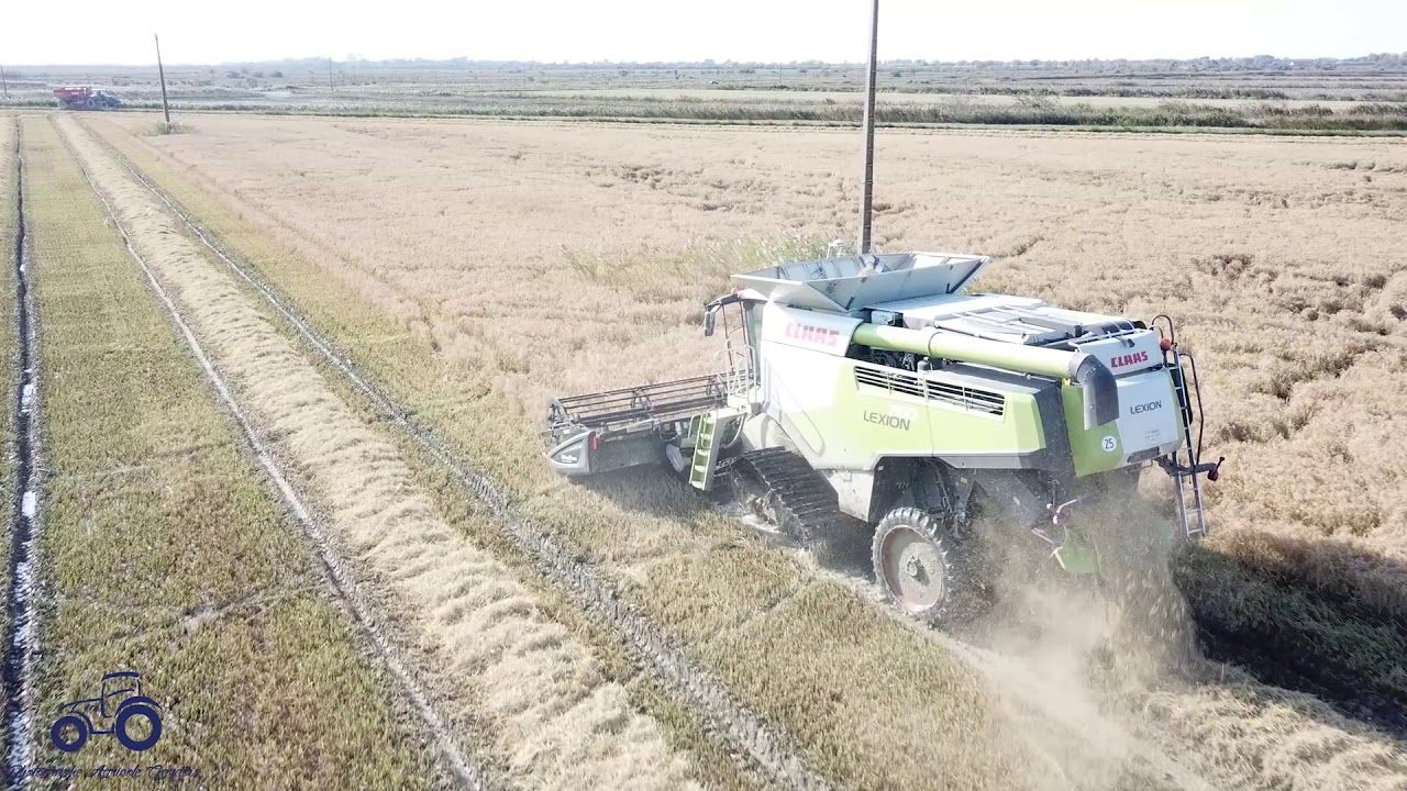 Moisson du riz en Camargue en Claas Lexion 760 ©Photographe Agricole Gardois©
