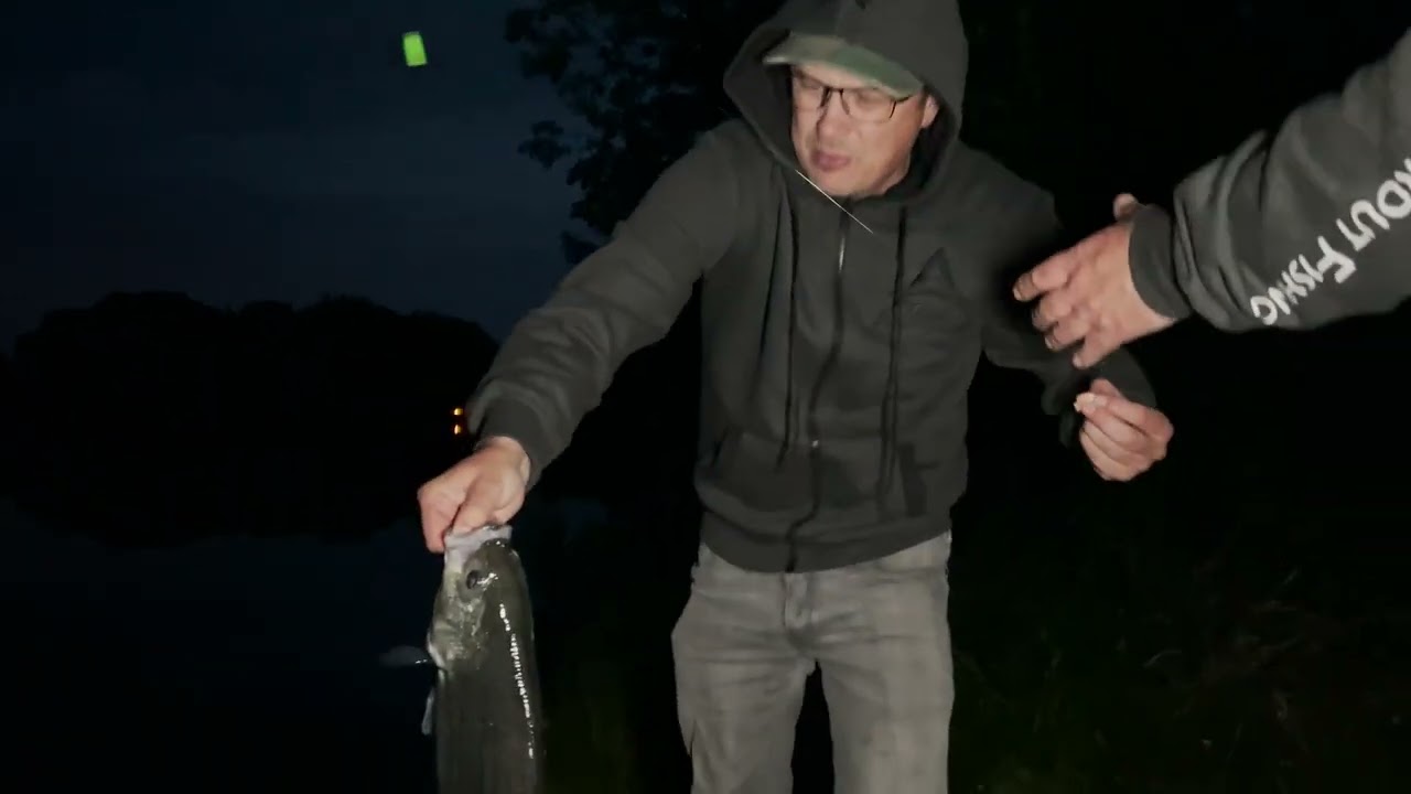 Sunshine bass, Tips og Tricks så du nemt fanger dem!