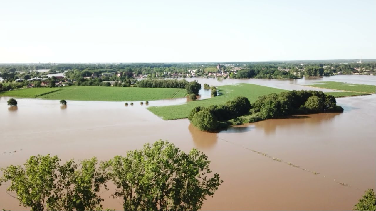 Frymerson   Hoogwater 2021