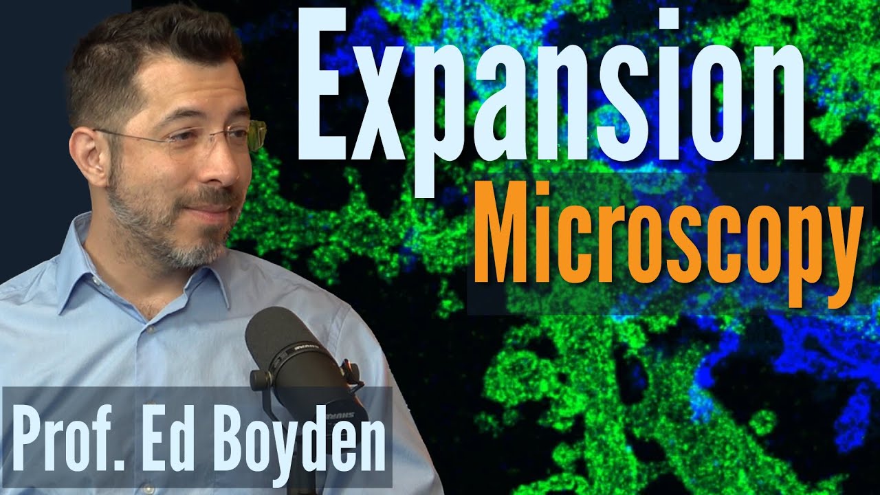 What is Expansion Microscopy? Innovative technology that reveals nature’s hidden secrets