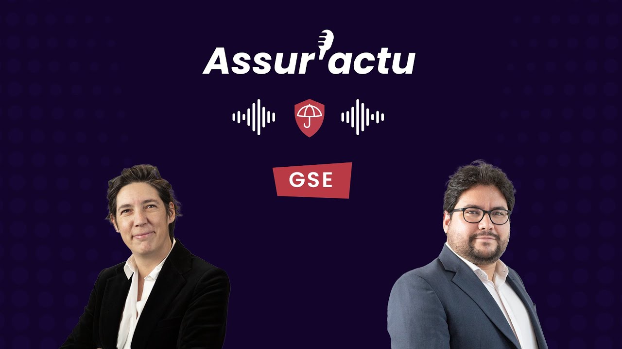 [Assur'actu ] Un GSE : c'est quoi dans le monde de l'assurance ?