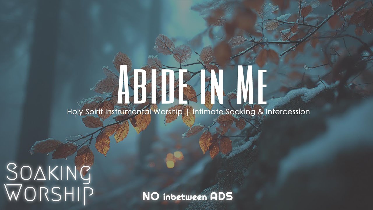 Abide in Me ✝️ Soaking Worship Instrumental | Piano, Cello & Guitar