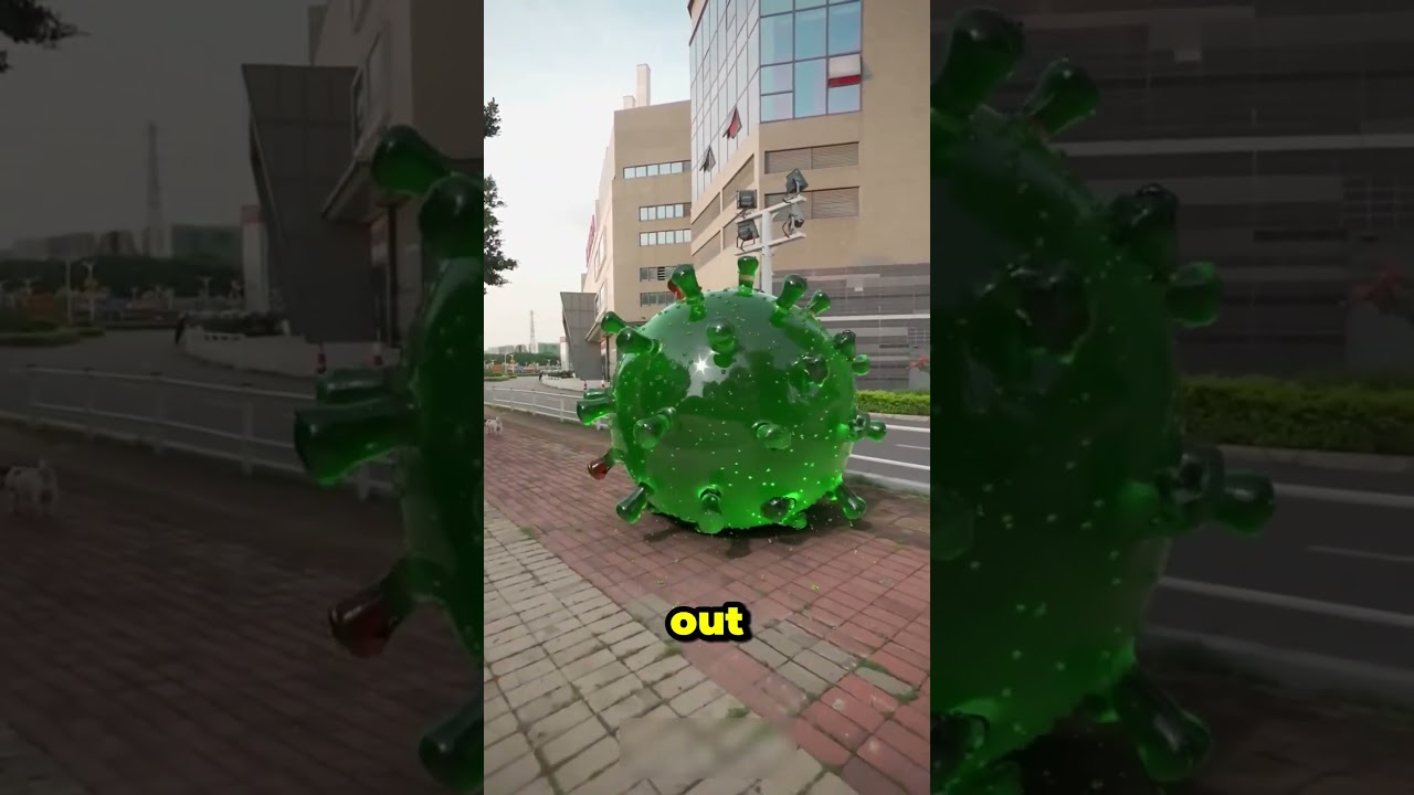 We Are Under Attack From The Coronavirus 😱🦠