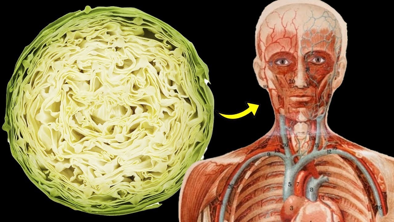 O que acontece com seu corpo quando voc&ecirc; come repolho todos os dias