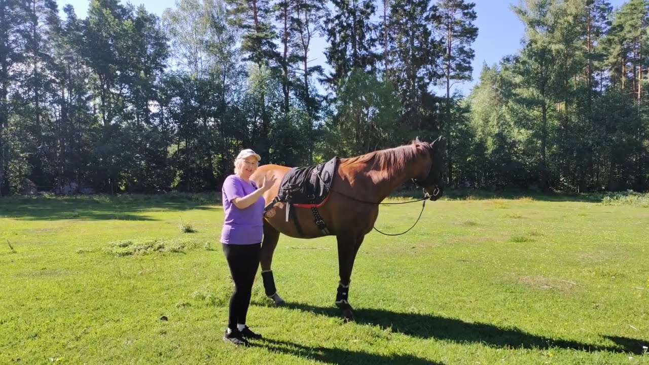 Utvärdering Equiband Augusti 2022