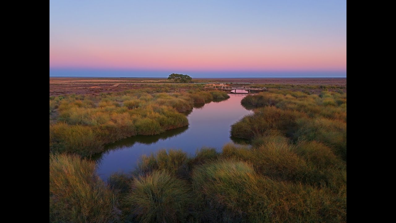 Willandra Creek near Ivanhoe Pt 1