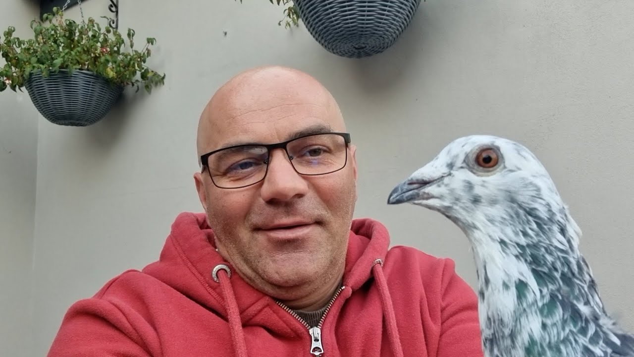 Nadrobić Masą, Kiedy nie ma Gołębi z Klasą 😉