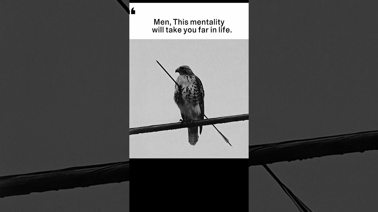 Hawk Shot by Arrow Still Flies: The Power of Perseverance | Inspiring Short 