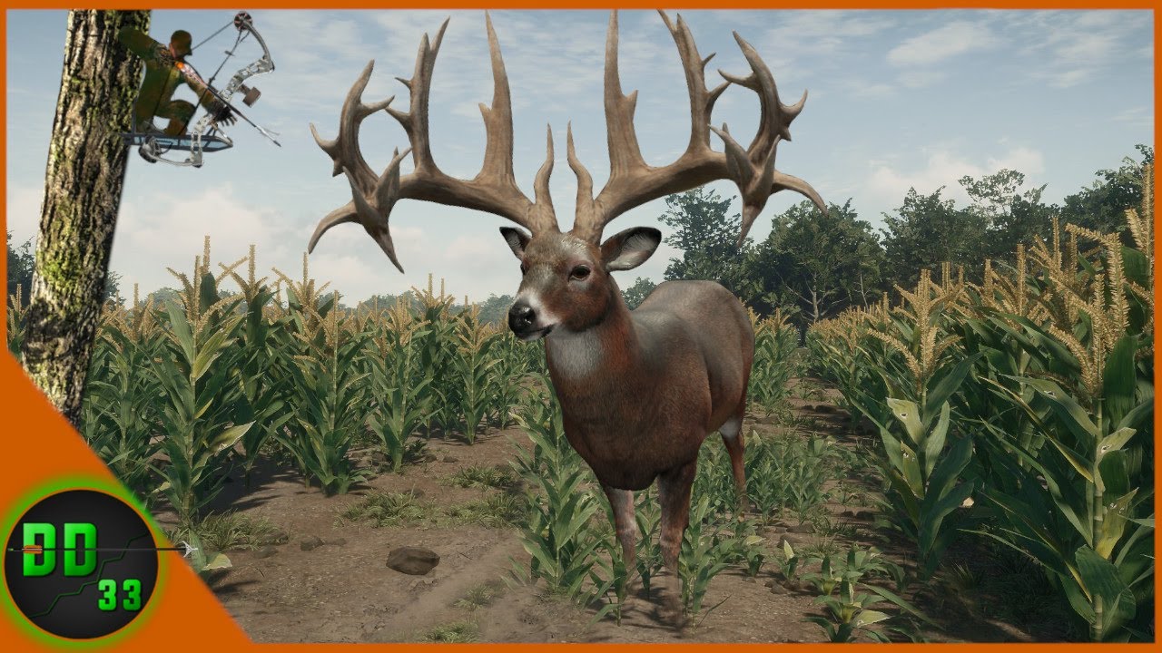 Our First Time Corn Field Hunting For A GREAT ONE! Call Of The Wild