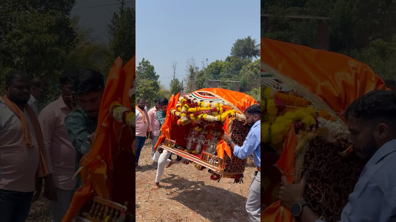 Shimga | Kokan | Shimga Palkhi 😍😍 Holi 