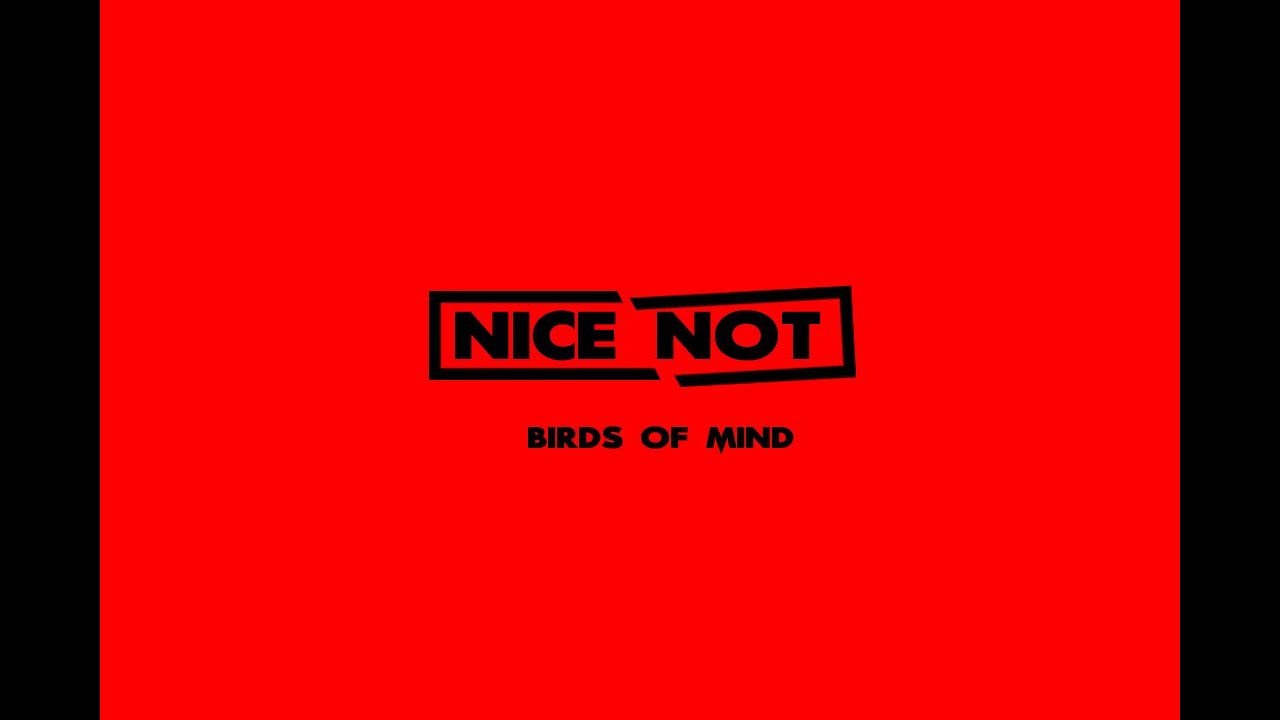 Birds Of Mind - Lluvia Leve (Original Mix)