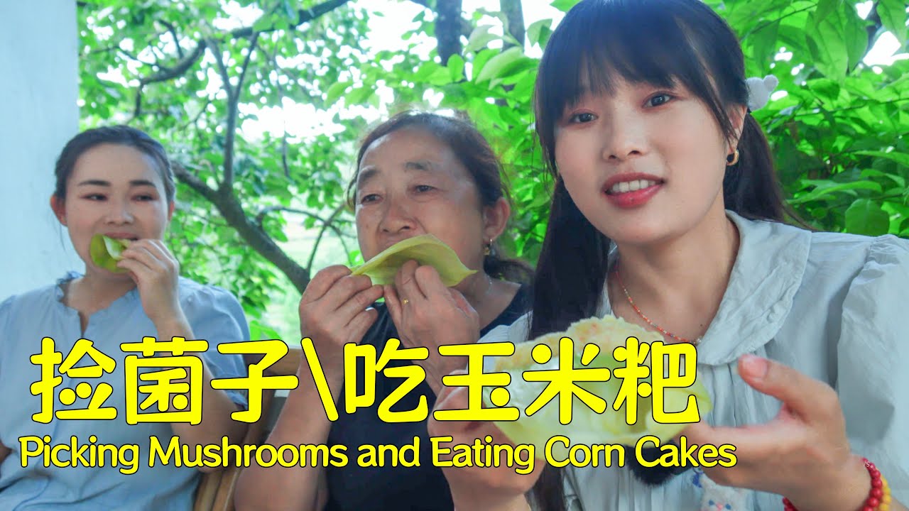 阿霞和妈妈一起去外婆家找菌子，做玉米粑粑吃！【叫我阿霞】