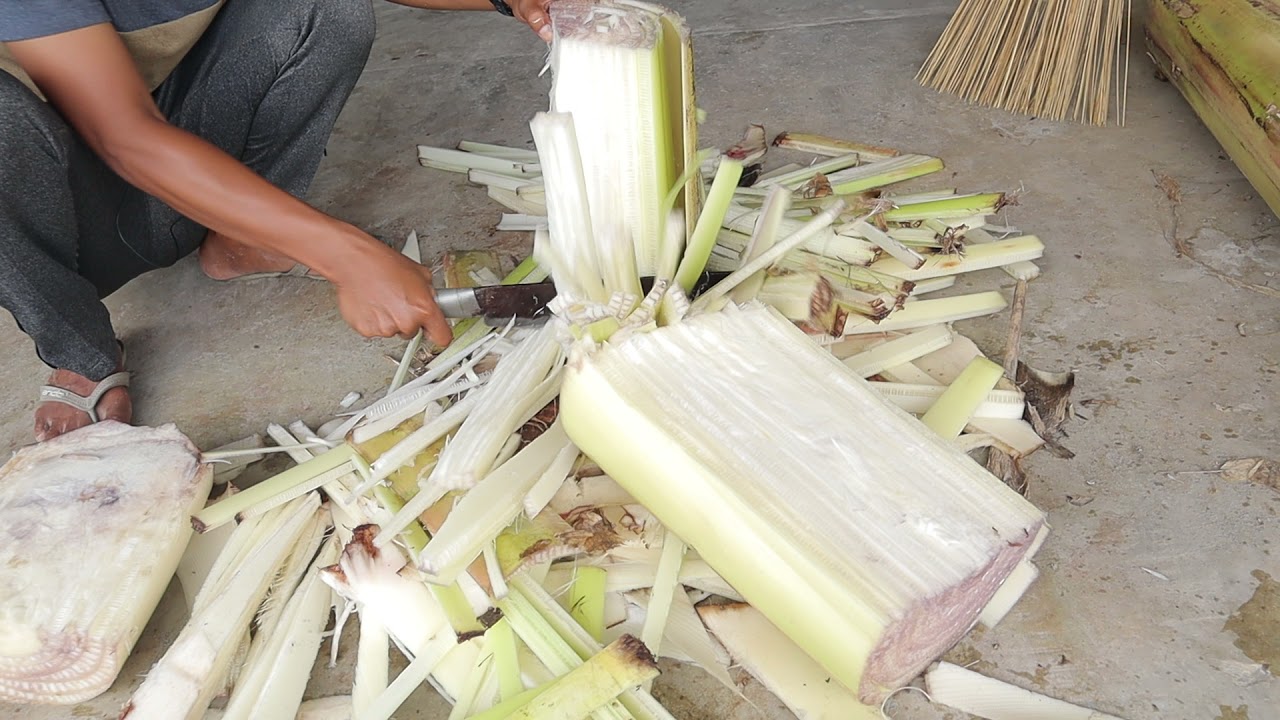 #Episode10 Cara Menetaskan Telur Jangkrik Yang Benar